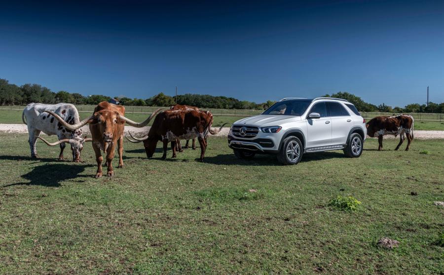  Mercedes-Benz GLE450 4Matic (V167) 2019 года  (NA) (фото 22 из 40)